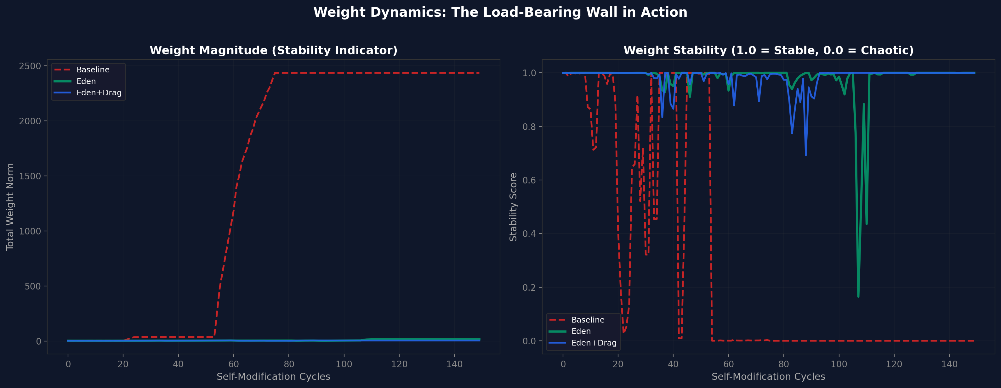 Weight dynamics across conditions